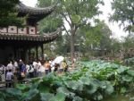 Shanghai and Suzhou Culture Experience Tour By High Speed Rail