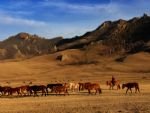 Beijing Essence and Mongolian Cultural Experience 
