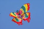 Essence of Shandong Tour