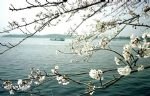 Essence of Wuxi Tour 