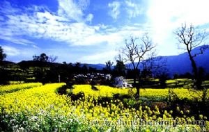 Jingdezhen with Huangshan Classic Tour