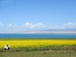 Tibet Discovery with Qinhai Lake