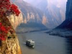 Panda and Yangtze River Cruise Family Tour