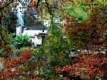 Autumn at Yellow Mountain & Tachuan Village