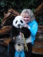 Chengdu Panda Tour 