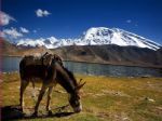 Karakuri Lake and Mount Muztagata Hiking Tour