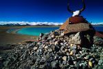 Essence of Qinghai Tour Essence of Qinghai Tour