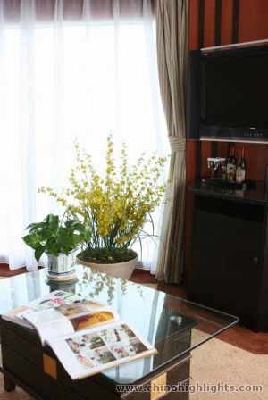 Deluxe Suite
