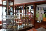 Shop 2