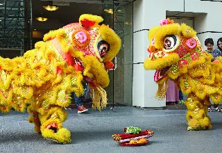 Chinese New Year Lion Dances Meaning History Costume And Type