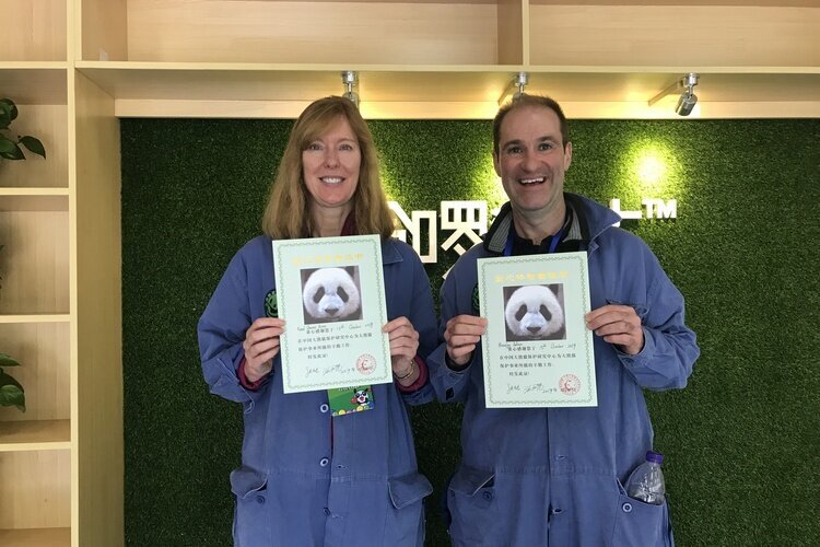 dujiangyan panda keeper tour