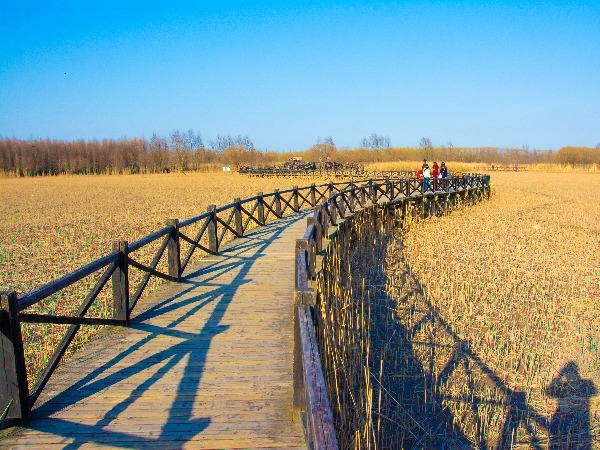 Chongming Island A Great Shanghai Gateway
