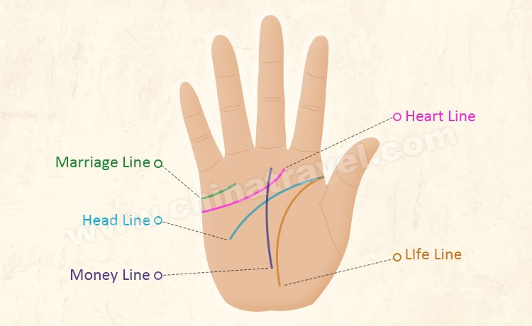 the-double-life-line-phenomenon-the-articles-on-palmistry