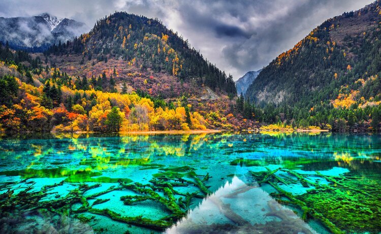 Jiuzhai Valley National Park Tickets